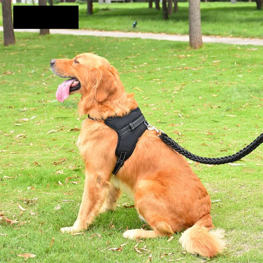 No-Pull Reflective Dog Harness & Leash – Secure, Adjustable & Comfortable!