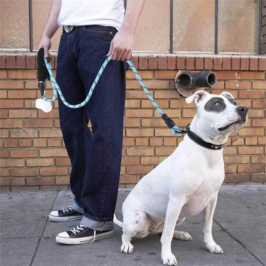 Reflective Dog Leash – Heavy Duty, Padded Handle, Strong Double Rope